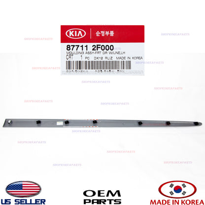 Genuine Front Door Body Side Molding Left Driver Side OEM Kia Spectra 2004-2009