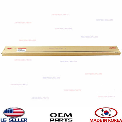 Genuine Front Door Body Side Molding Right Passenger Side OEM Kia Rio 2006-2009