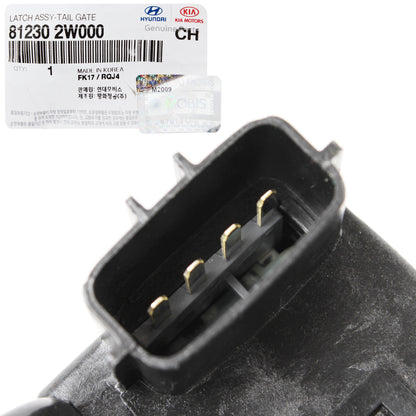 GENUINE Rear Tailgate Lock Latch for 13-19 Santa Fe Sport Kia Soul 812302W000