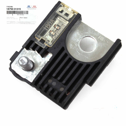 GENUINE AMP Fuse for 13-19 Santa Fe Tucson Cadenza Optima Sorento 1879001319