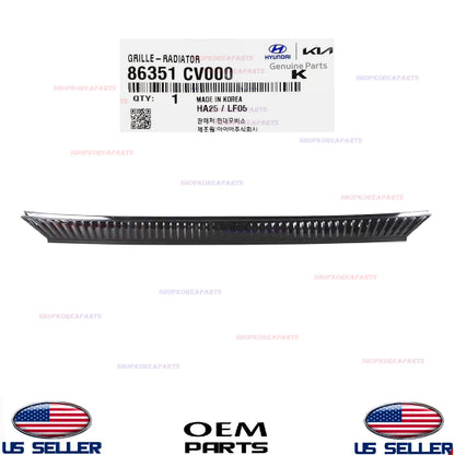 GENUINE OEM Front Upper Grille W/O Camera 2022-2024 Kia EV6 86351-CV000