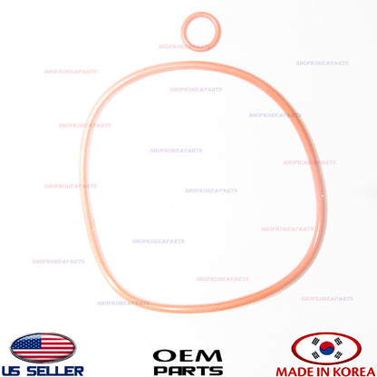 GENUINE Diesel Fuel Filter Service Kit ⭐OEM⭐ Hyundai Kia 31920-S1900