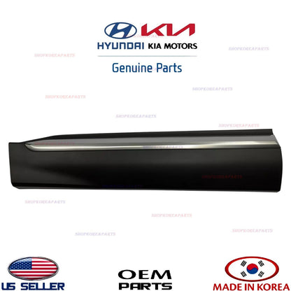 GENUINE Front Door Lower Molding LEFT Satin Chrome ⭐OEM⭐ Santa Fe 2021-2023