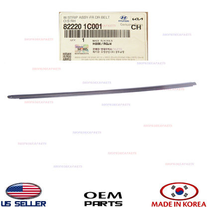 GENUINE Outside Weatherstrip Front Door RIGHT Passenger OEM Hyundai 82220-1C001