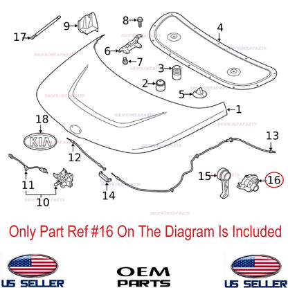 GENUINE Hood Latch Release Handle Base OEM HYUNDAI KIA 2011-25 See compatibility