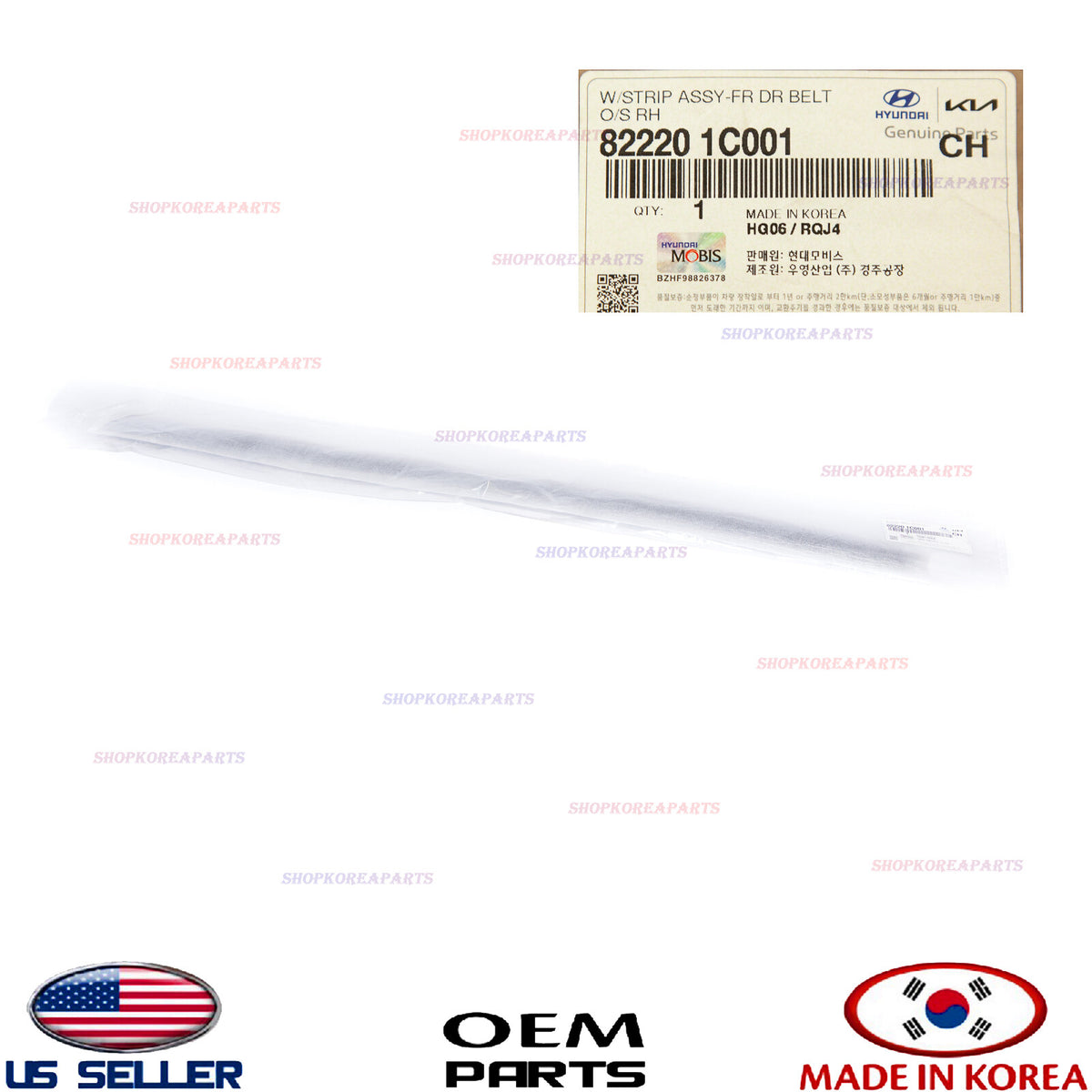GENUINE Outside Weatherstrip Front Door RIGHT Passenger OEM Hyundai 82220-1C001