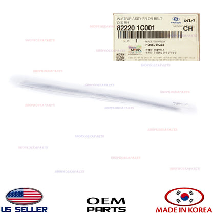 GENUINE Outside Weatherstrip Front Door RIGHT Passenger OEM Hyundai 82220-1C001