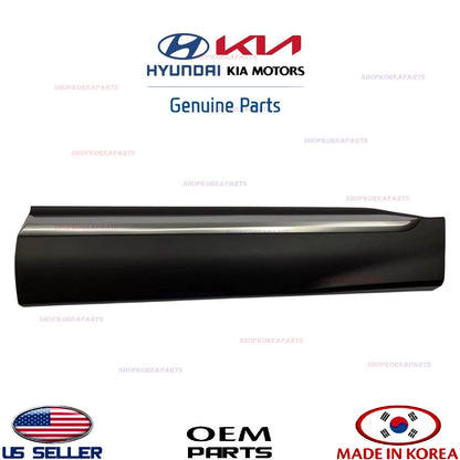 GENUINE Front Door Lower Molding RIGHT Satin Chrome ⭐OEM⭐ Santa Fe 2021-2023