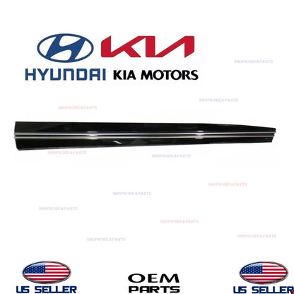 OEM Front RIGHT Passenger Door Lower Molding Gloss Black 2022-2025 Kia EV6 WIND