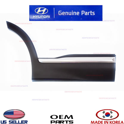 Rear Door Lower Molding Right Passenger Side w/Chrome Garnish Santa Fe 2019-2023