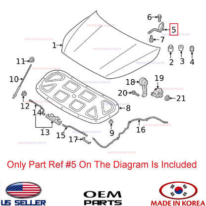 GENUINE Hood Hinge RIGHT Passenger Side ⭐OEM⭐ Kia Forte 2019-2024