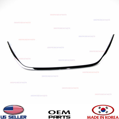 GENUINE Grille Chrome Radiator Surround Trim Front Center Molding Sonata 09-10