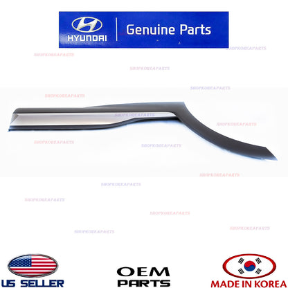 Rear Door Lower Molding Right Passenger Side w/Chrome Garnish Santa Fe 2019-2023