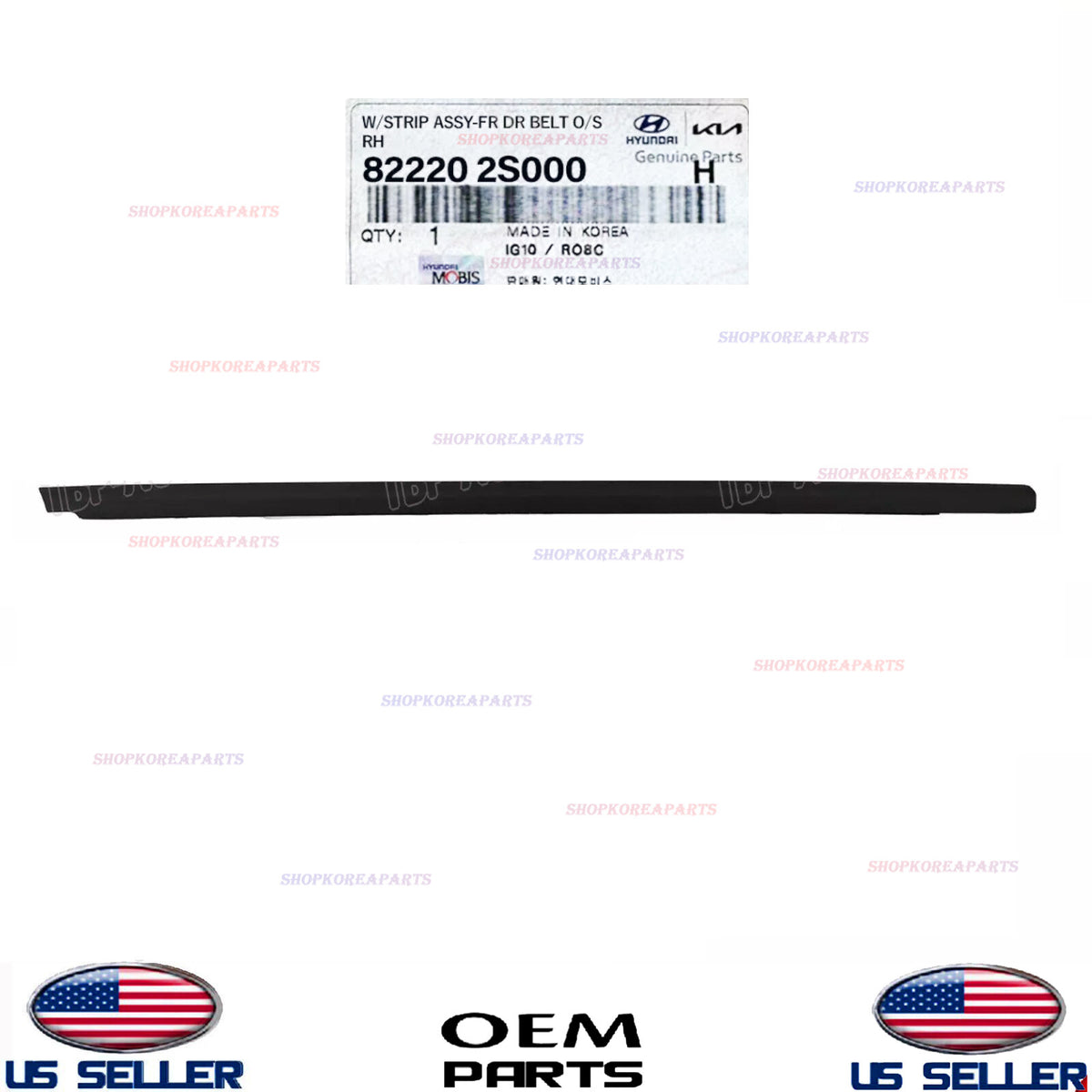 GENUINE OEM Front Right Passenger Side Door Belt Molding 2010-15 Hyundai Tucson