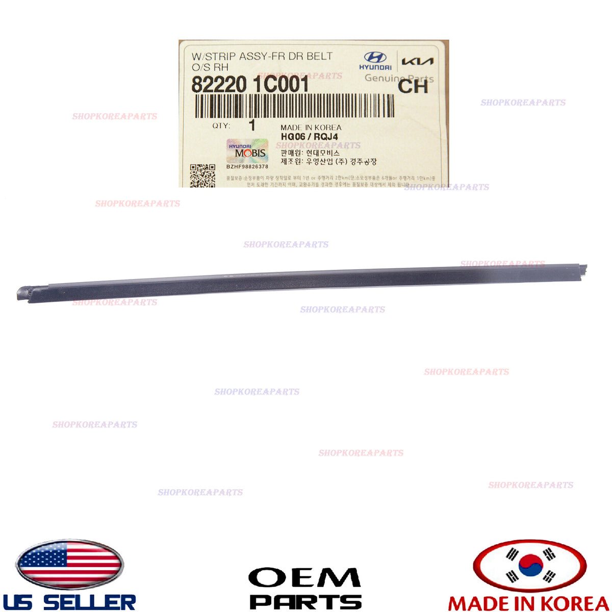 GENUINE Outside Weatherstrip Front Door RIGHT Passenger OEM Hyundai 82220-1C001